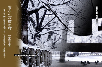 ��z ��ԊX�̕��i �Ⴓ��� ���̒�