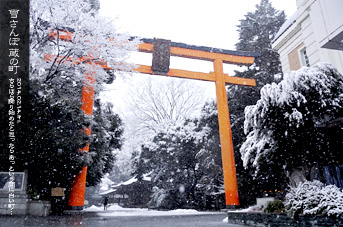 ��z �X��_�� �Ⴓ���