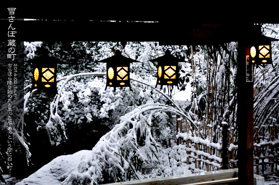 ��z ��ԊX�̕��i �Ⴓ��� ��z�X��_�� ��L�ƒ݂蓔��