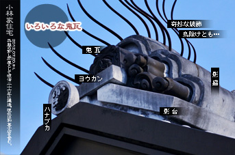 ��z�̑����� �S���̂�����