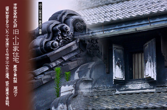 ����莑����