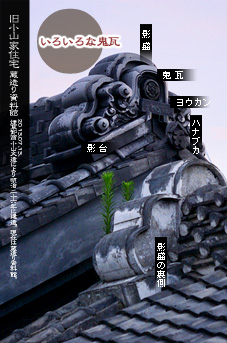 ��z�̑����� �S���̂�����