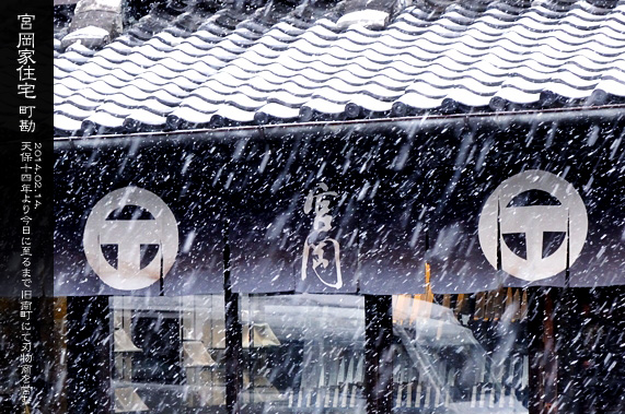 ������̒����� �{���ƏZ�� �Ⴓ���