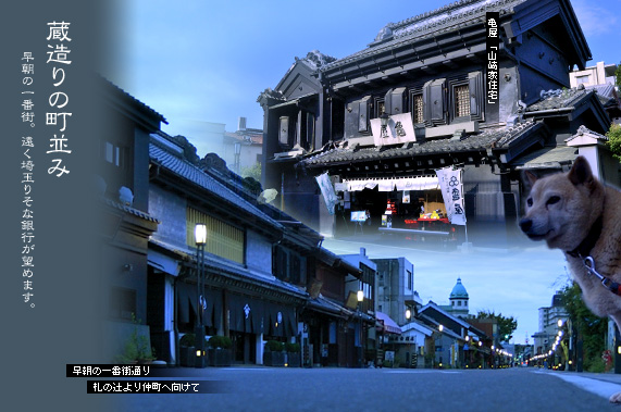 ��z�F������̒�����