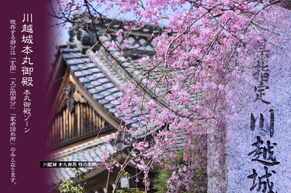 �{�ی�a�]�[��