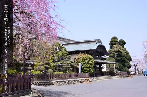 �{�ی�a ���� ���̋G��