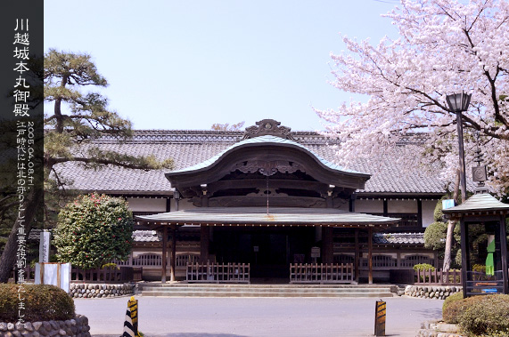 �{�ی�a ���� ���̋G��