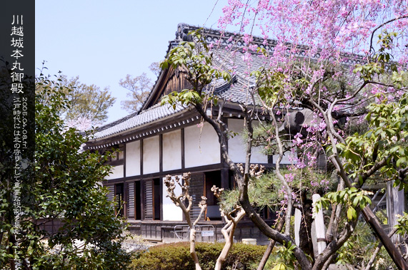 �{�ی�a ��L�� ���̋G��