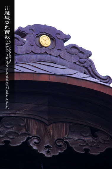 �{�ی�a �哂�j�� 