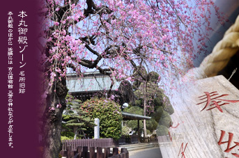 ��z �{�ی�a �������