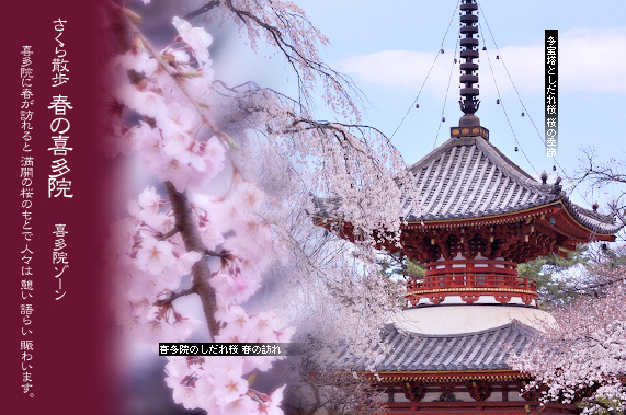 �쑽�@�̑���