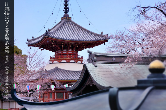 �쑽�@�̑���