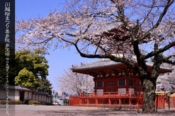 �쑽�@ ���̋G�߂̑���