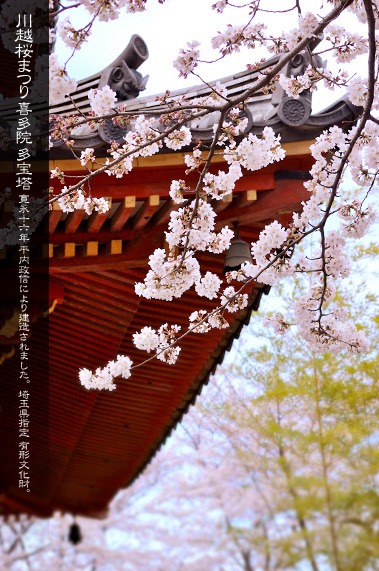 �쑽�@ ���̋G�߂̑���