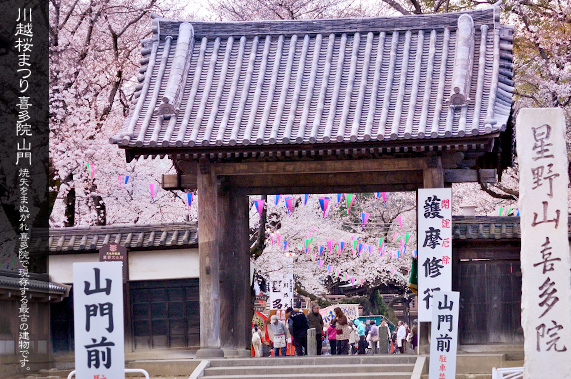 �쑽�@ ���̎R��