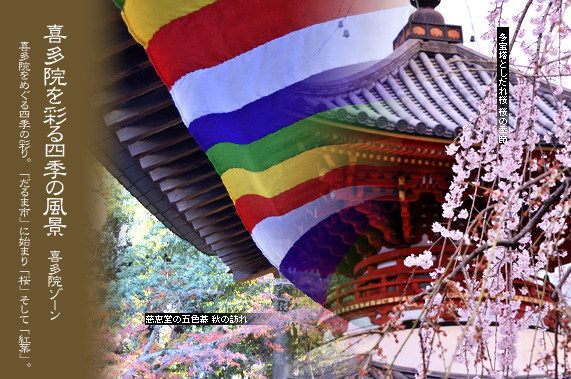 �쑽�@���ʂ�l�G�̕��i