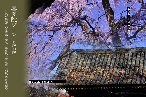 �쑽�@�̑���