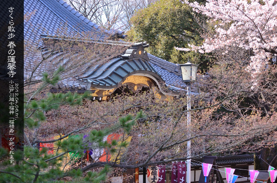 �吳�Q�����ʂ�]�[���� �t�̘A����