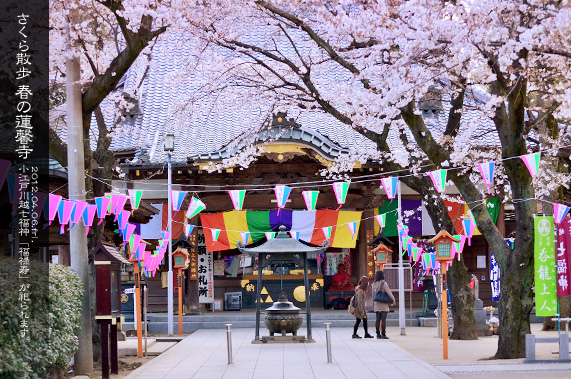 �吳�Q�����ʂ�]�[���� �t�̘A����