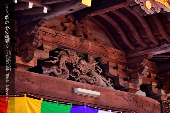 �吳�Q�����ʂ�]�[���� �t�̘A����