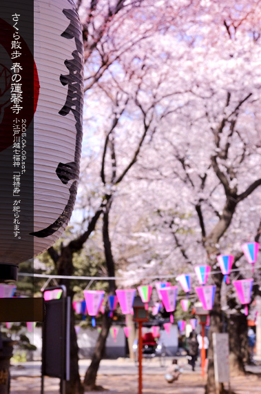 �吳�Q�����ʂ�]�[���� �t�̘A����