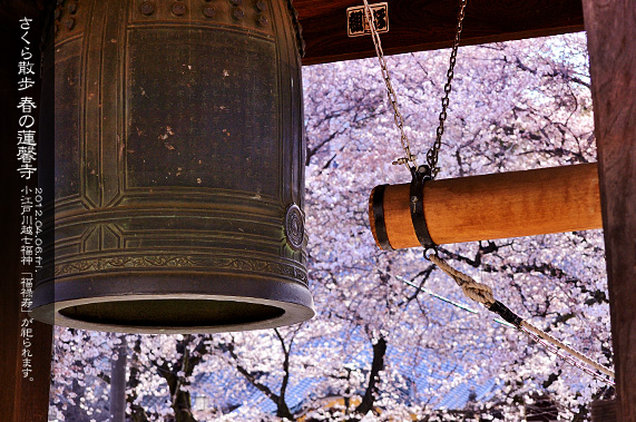 �吳�Q�����ʂ�]�[���� �t�̘A���� ������