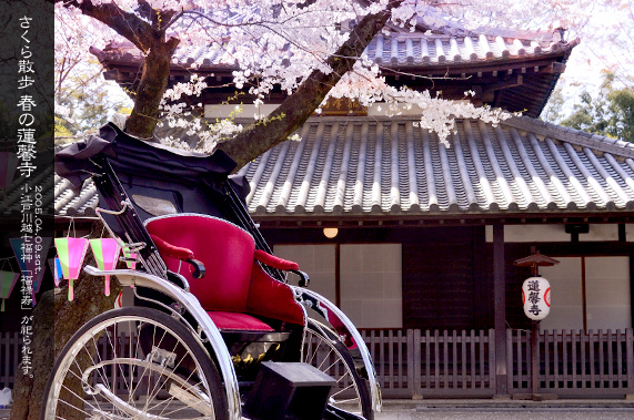 �吳�Q�����ʂ�]�[���� �t�̘A���� �{���Ɛl�͎�