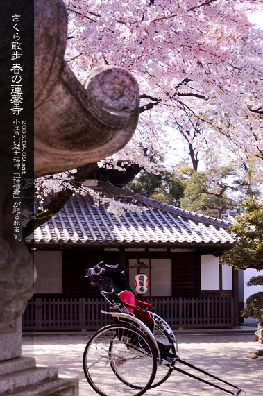 �吳�Q�����ʂ�]�[���� �t�̘A���� �{���Ɛl�͎�