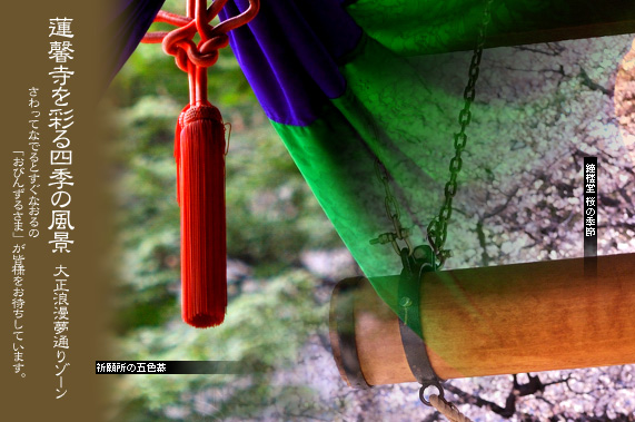 �吳�Q�����ʂ�]�[���� �A�����̎l�G