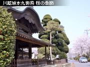 ��z�� �{�ی�a ���̋G��