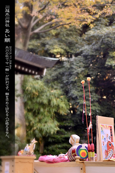 �X�p�U�� �X�p�E�H�b�`���O ������