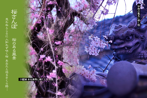 �X�p�U�� ���̂��镗�i �������