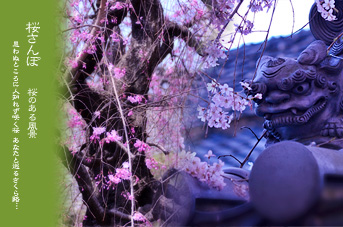 ��z ���@�̉����̏�̎��q�� �������