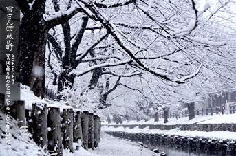 ��z ������� �V�͊ݐ�̓~�̍�