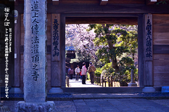 ��z ���̂��镗�i �������