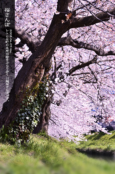 �X�p�U�� ���̂��镗�i �������