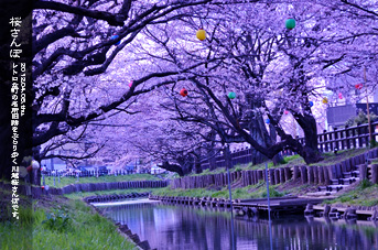 ��z ���̂��镗�i �������