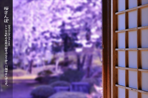 �X�p�U�� ���̂��镗�i �������