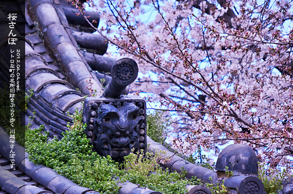 �X�p�U�� ���̂��镗�i �������