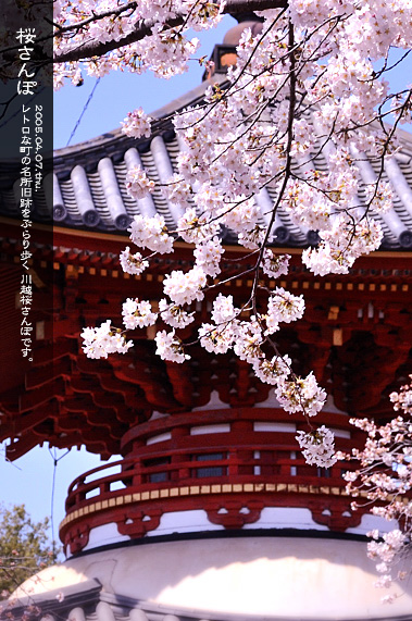 �X�p�U�� ���̂��镗�i �������