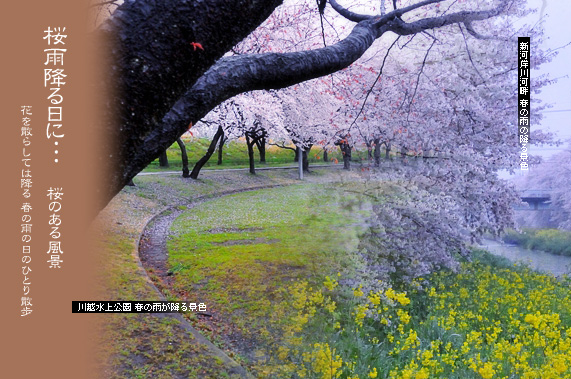 �X�p�U�� ���̂��镗�i ���J�~����Ɂc