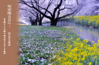 ��z ������� �� �J�����