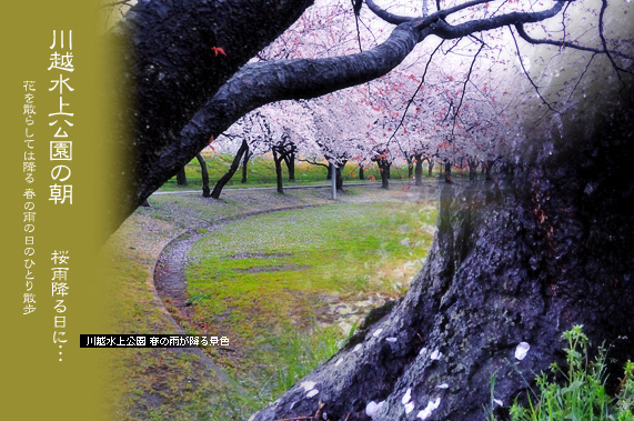 �X�p�U�� ���̂��镗�i ��������̒� ���J