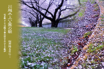 ��z ���̂��镗�i �������