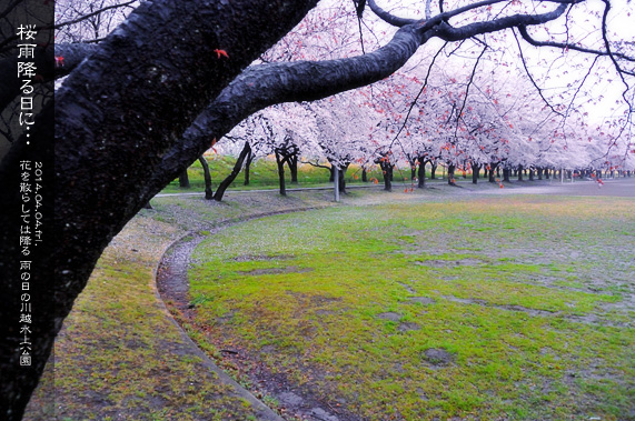 �X�p�U�� ���̂��镗�i ��������̒� ���J