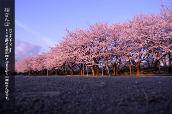 ��z ���J�̍~����Ɂc ��������̒�