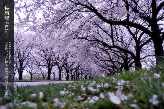 �X�p�U�� ���̂��镗�i ��������̒� ���J