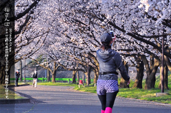 ��z ���̂��镗�i ��������̒� ���J