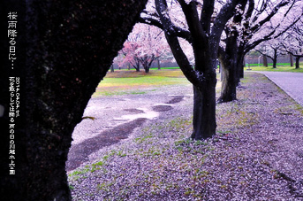 ��z ���̂��镗�i ��������̒� ���J