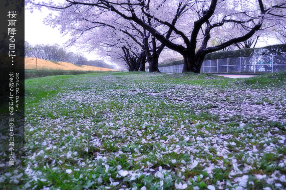 �X�p�U�� ���̂��镗�i ��������̒� ���J